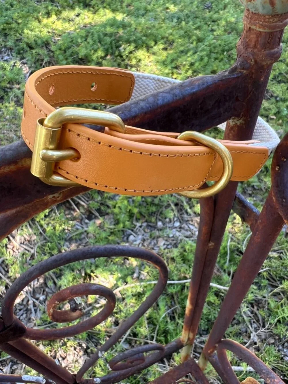 NWOT - Anthropologie Dog Collar - Icon - Lemons & Leather - Small